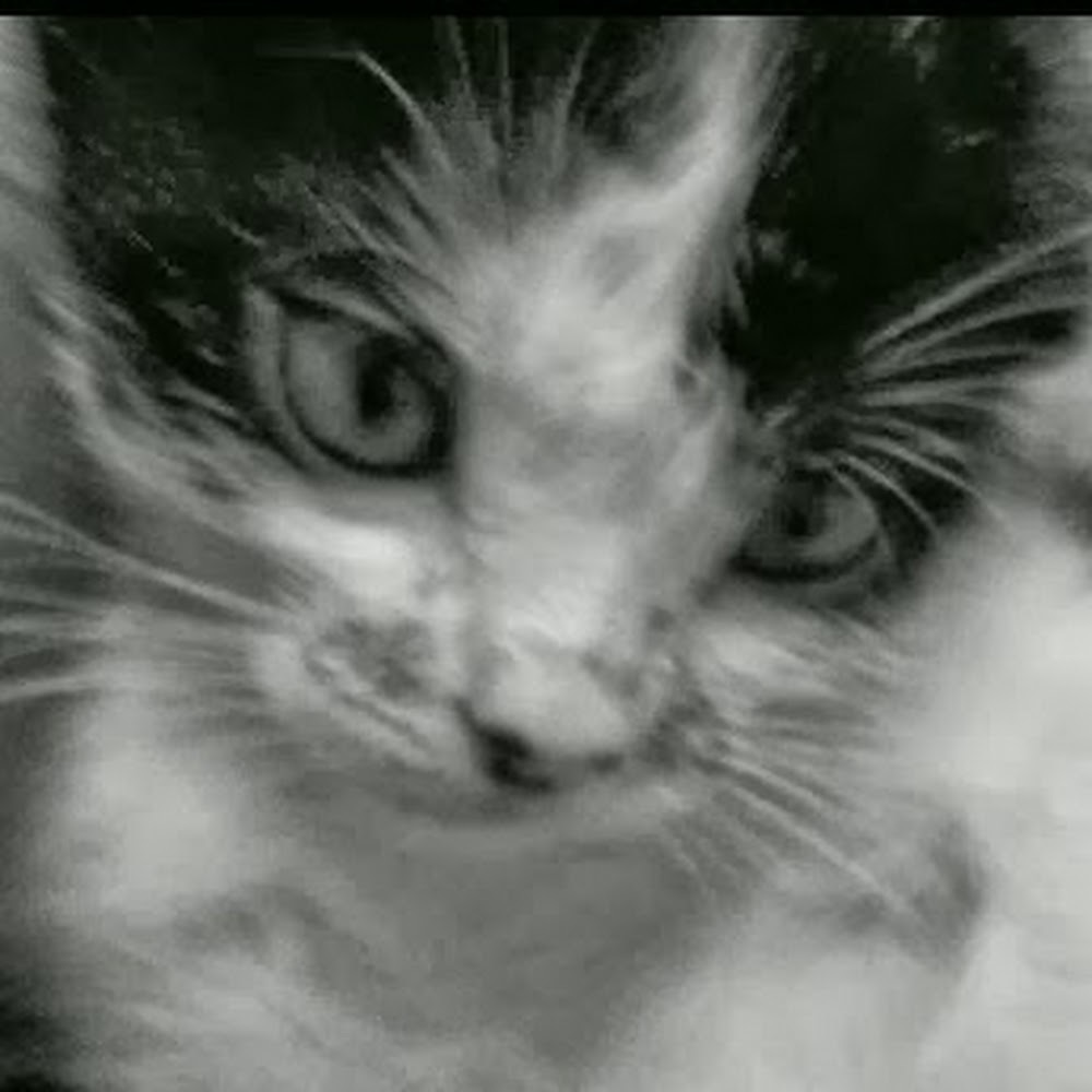 Meet your Posher, Camila